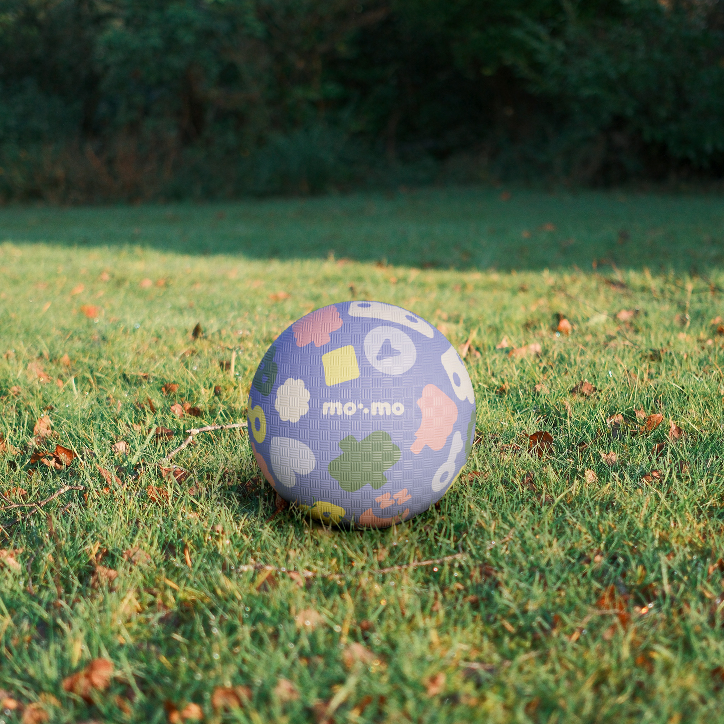 Starter-Set bouncing buddy