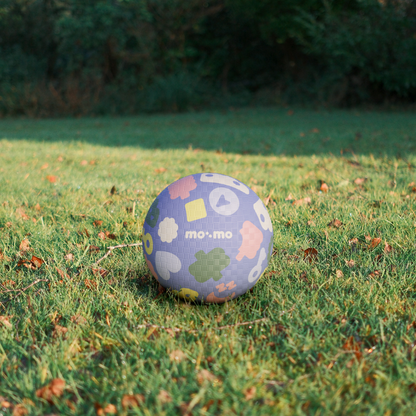 Starter-Set bouncing buddy