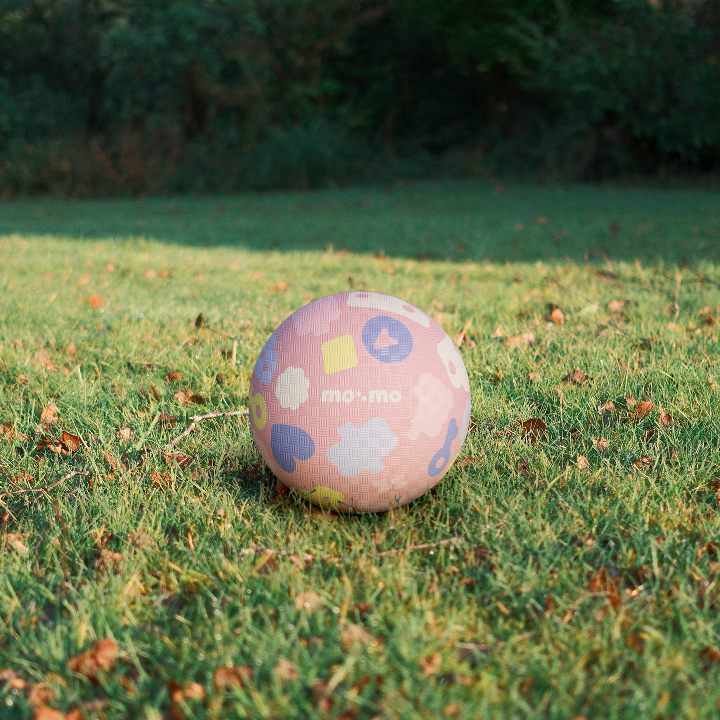 Starter-Set bouncing buddy